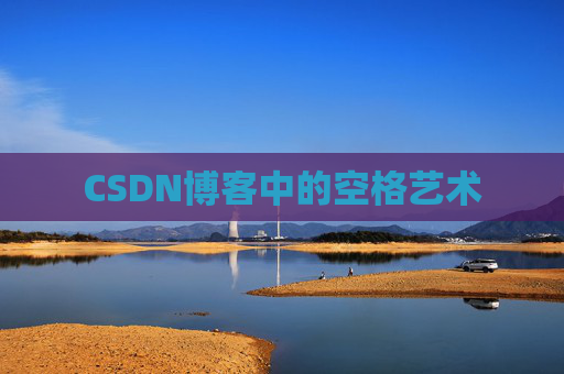 CSDN博客中的空格艺术